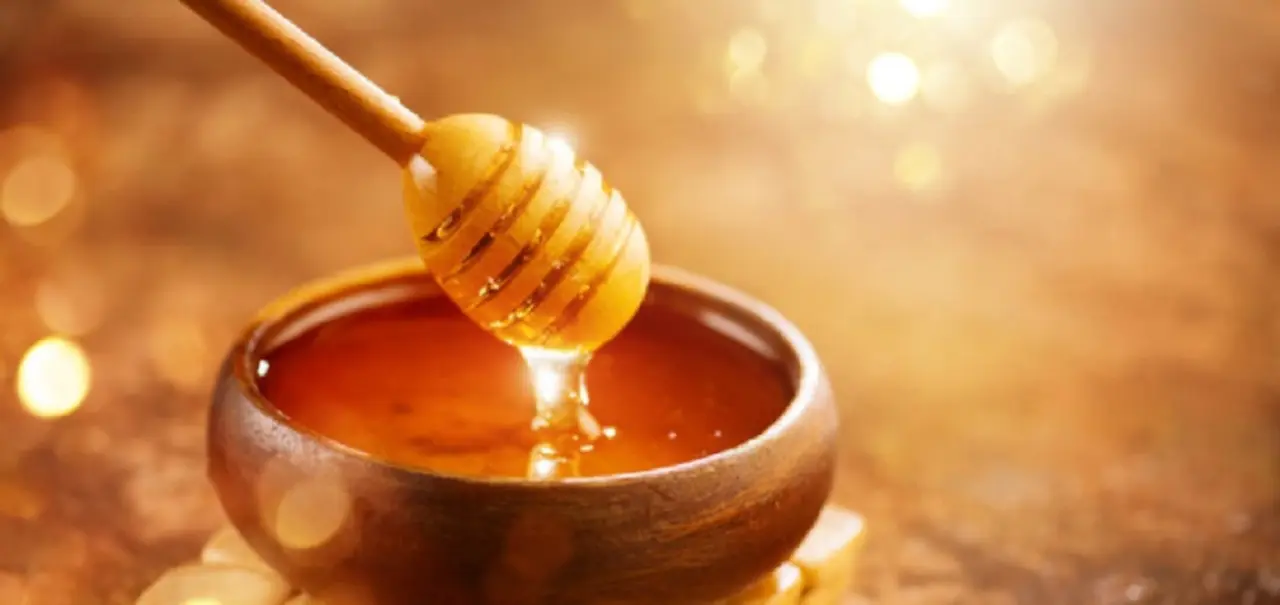 Cuáles son las propiedades nutricionales y terapéuticas de la miel