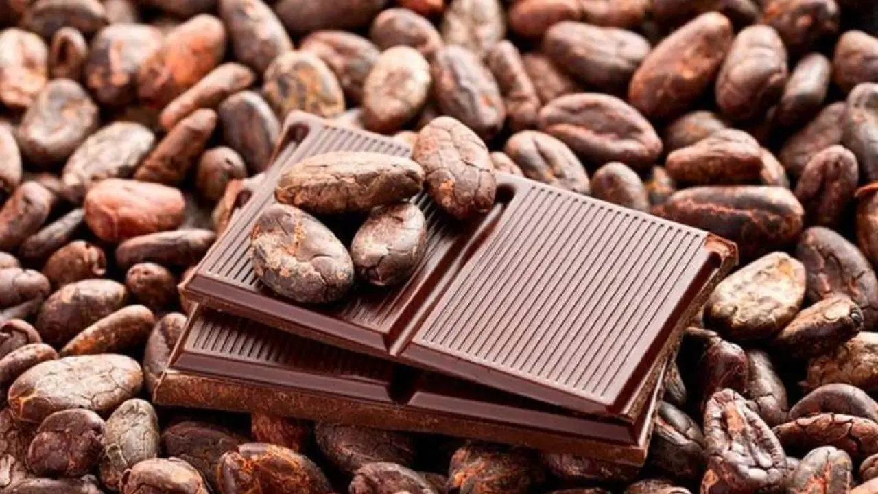El cadmio estaría presente en los granos de cacao