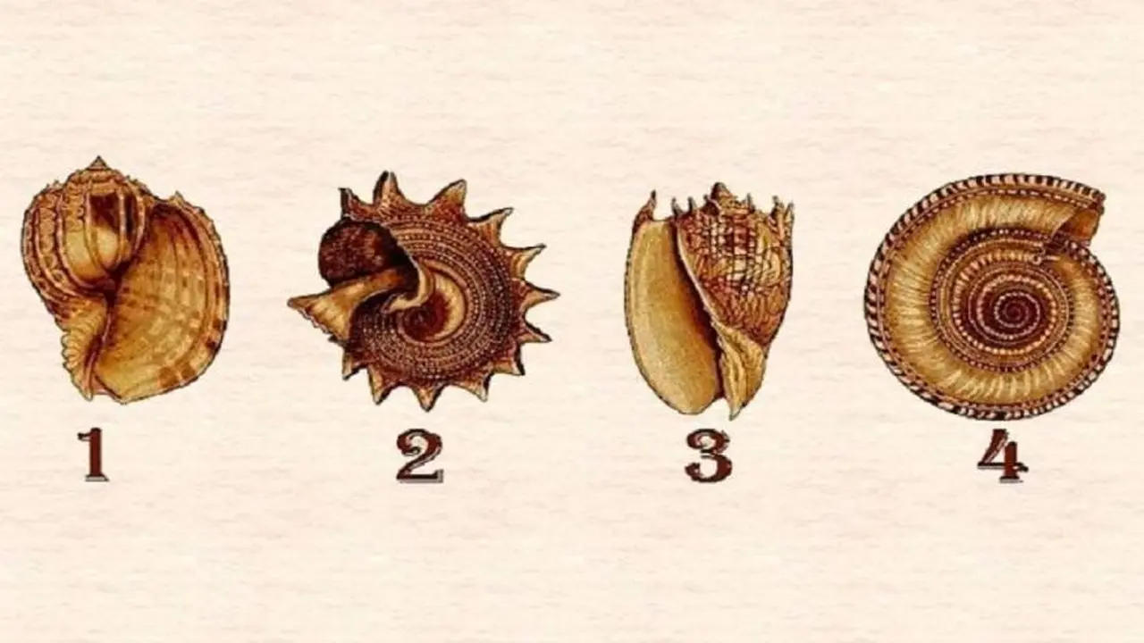Test de los caracoles: conocé tus deseos más profundos con solo mirar una imagen