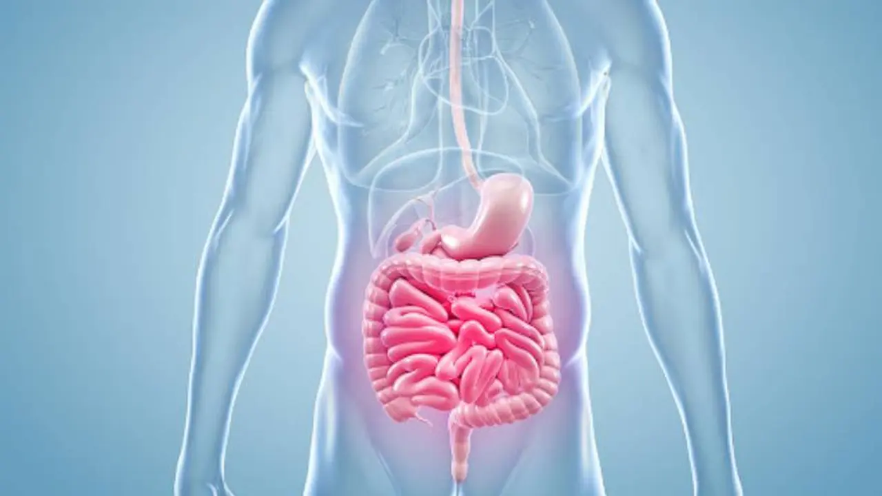 Un desequilibrio en la microbiota intestinal podría ser la causa de esta enfermedad