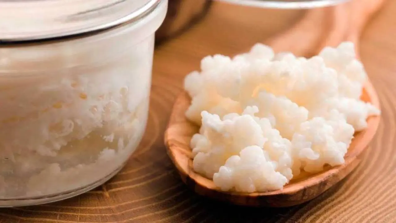 Los nódulos de kéfir se pueden usar para hacer esta bebida de leche y de agua