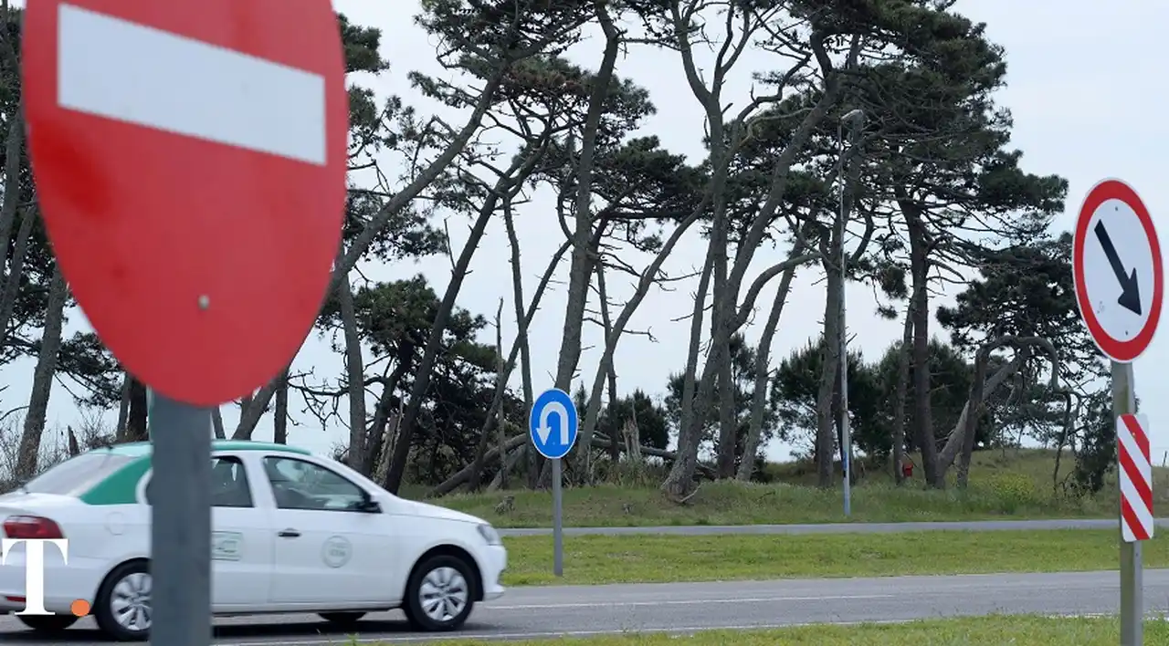 Para la Justicia, no es razonable obligar al pago de las multas para renovar el carnet de conducir