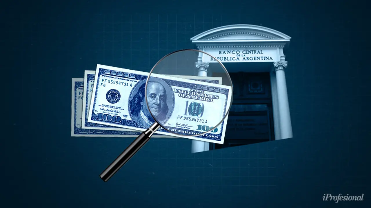 Si los dólares entran por los bancos se deben pesificar al tipo de cambio oficial