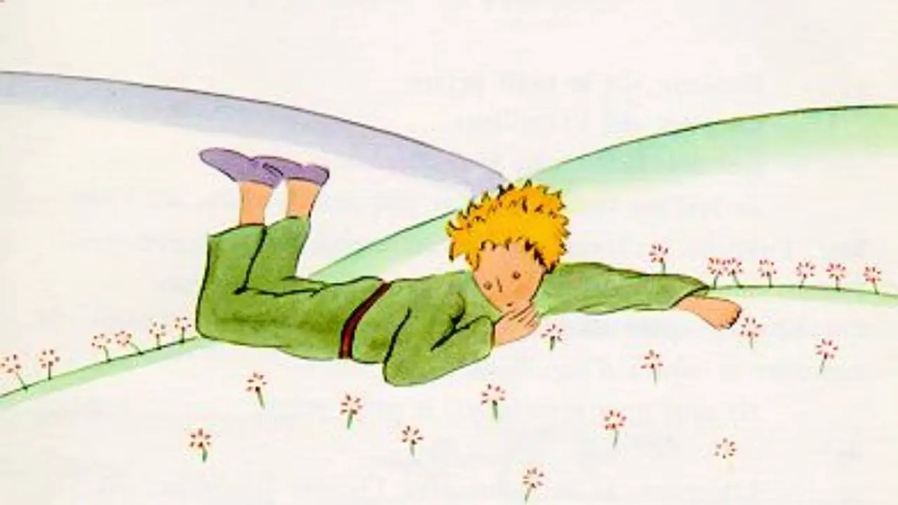 Las metáfora de las flores de esta frase del principito es mucho más profunda de lo que parece