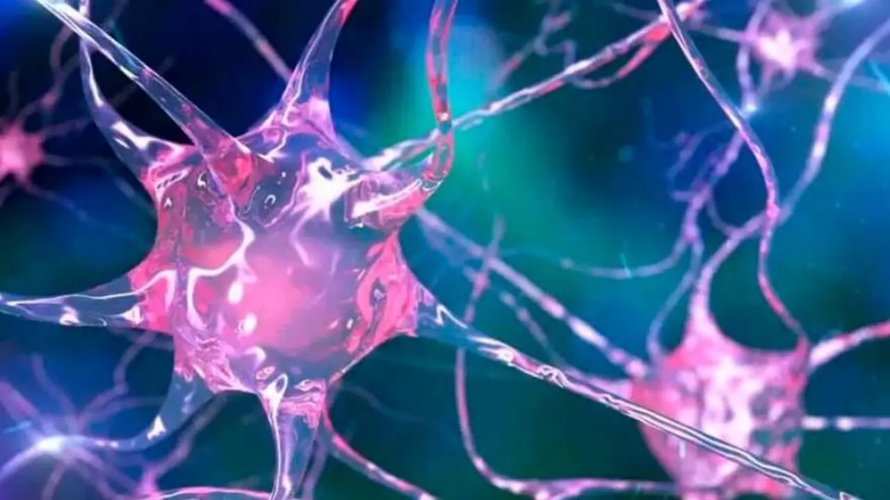 La ayahuasca podría ayudar a tratar enfermedades neurodegenerativas
