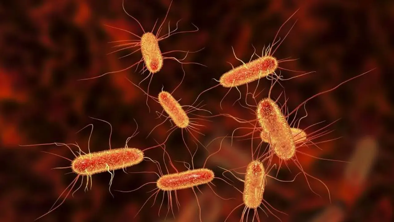 La causa más frecuente del SUH es la bacteria Escherichia coli