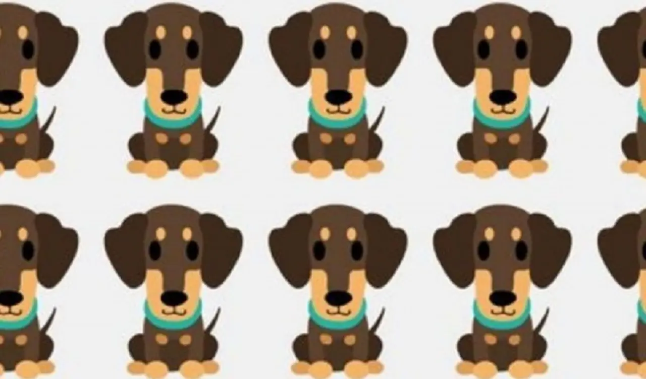 Reto viral: encontrar al perro que es diferente al resto (vas a dar mil vueltas)