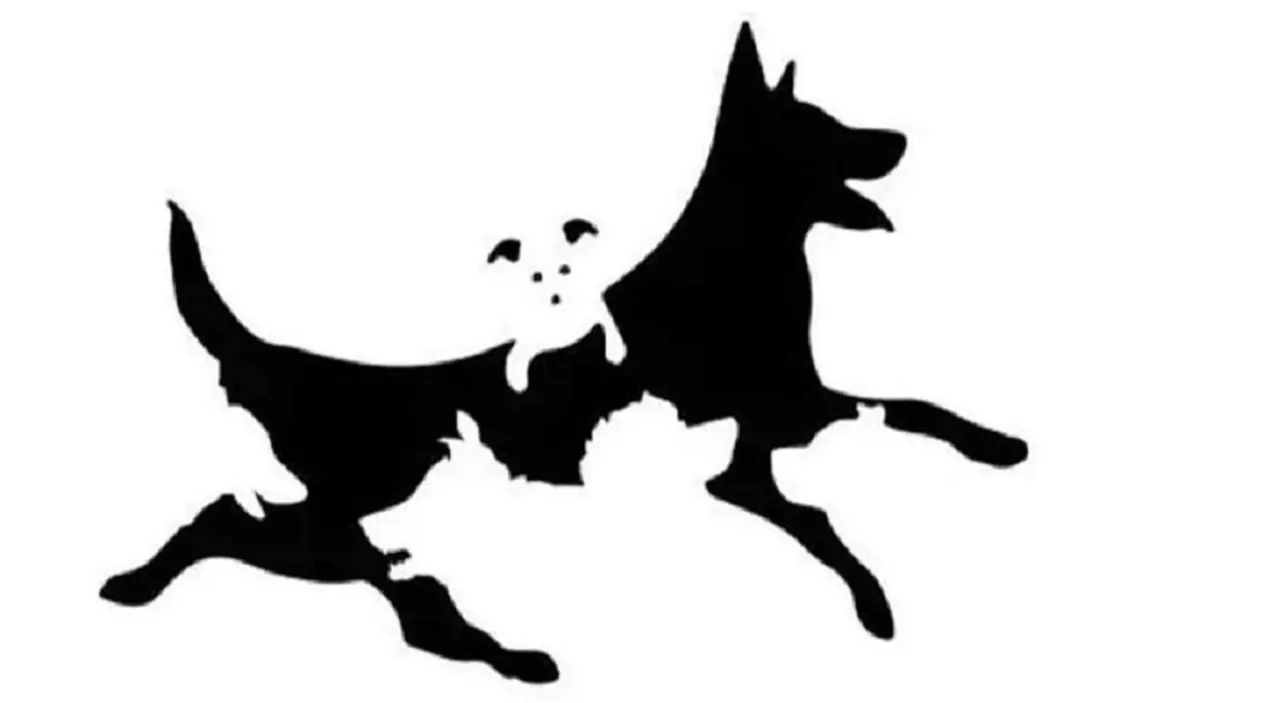 Los perros, uno de los test de edad mental más utilizados.