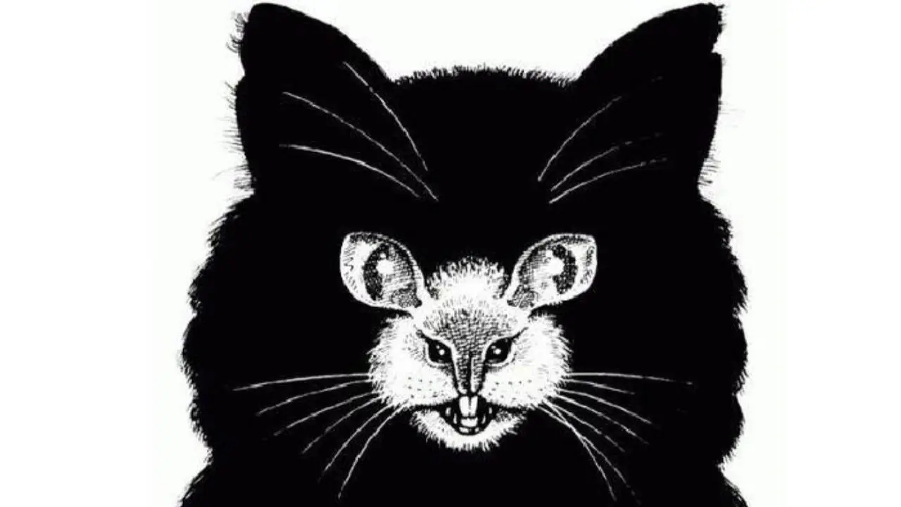 Gato o ratón: el animal que veas primero definirá tu actitud en la vida
