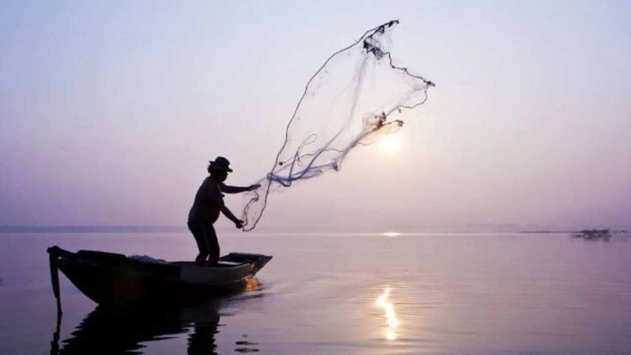 La pesca, la silvicultura, son algunos de los oficios con menor riesgo por la IA