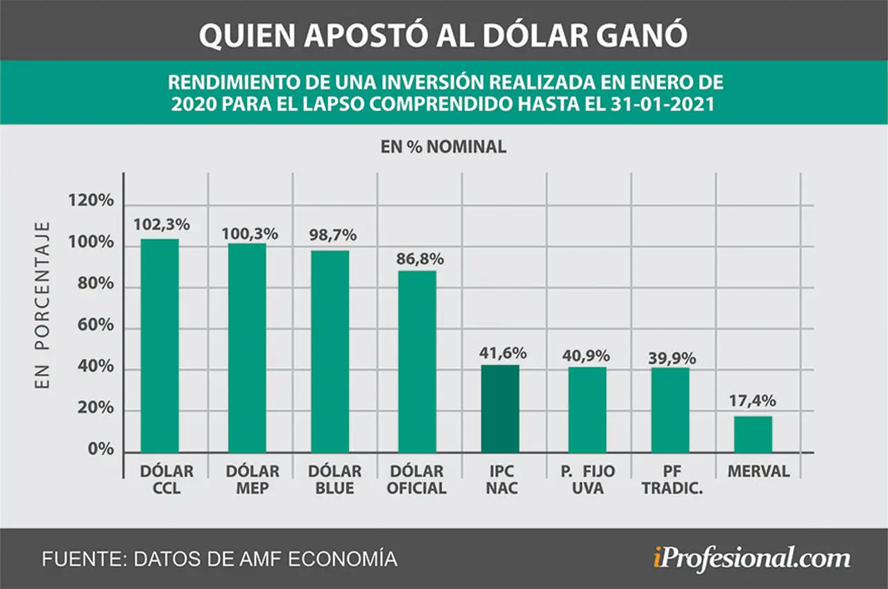 Las inversiones que más rindieron en los últimos 13 meses están vinculadas al dólar.