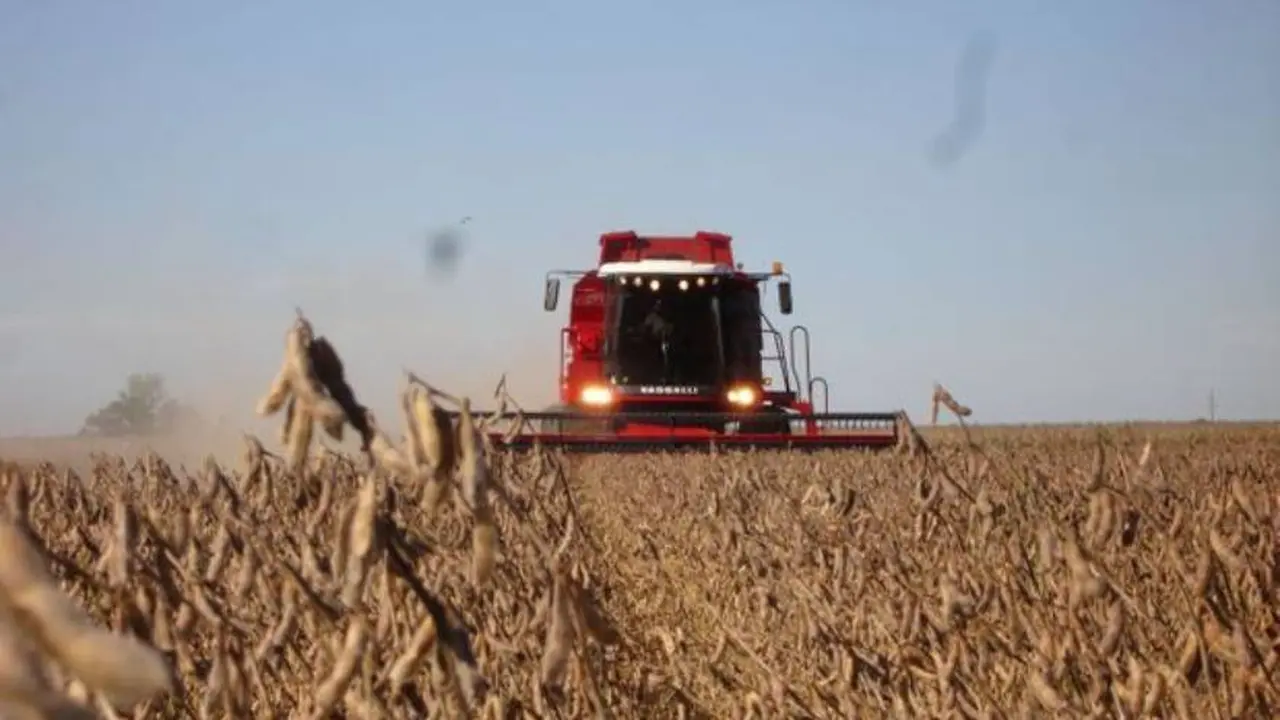 Estados Unidos no pone límites a la compra de tierras por parte de extranjeros y carece de retenciones a la exportación de granos.