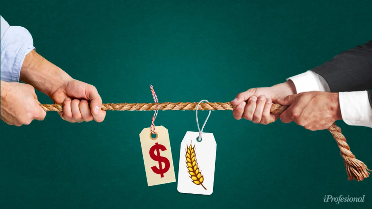 El trigo sólo representa 12% del precio del trigo