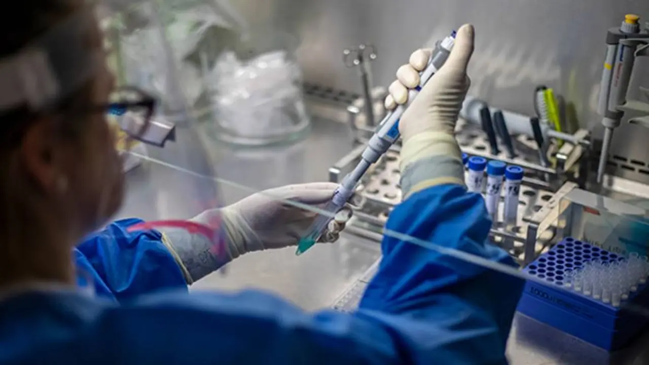Las nuevas cepas de coronavirus presentes en el país son cuatro