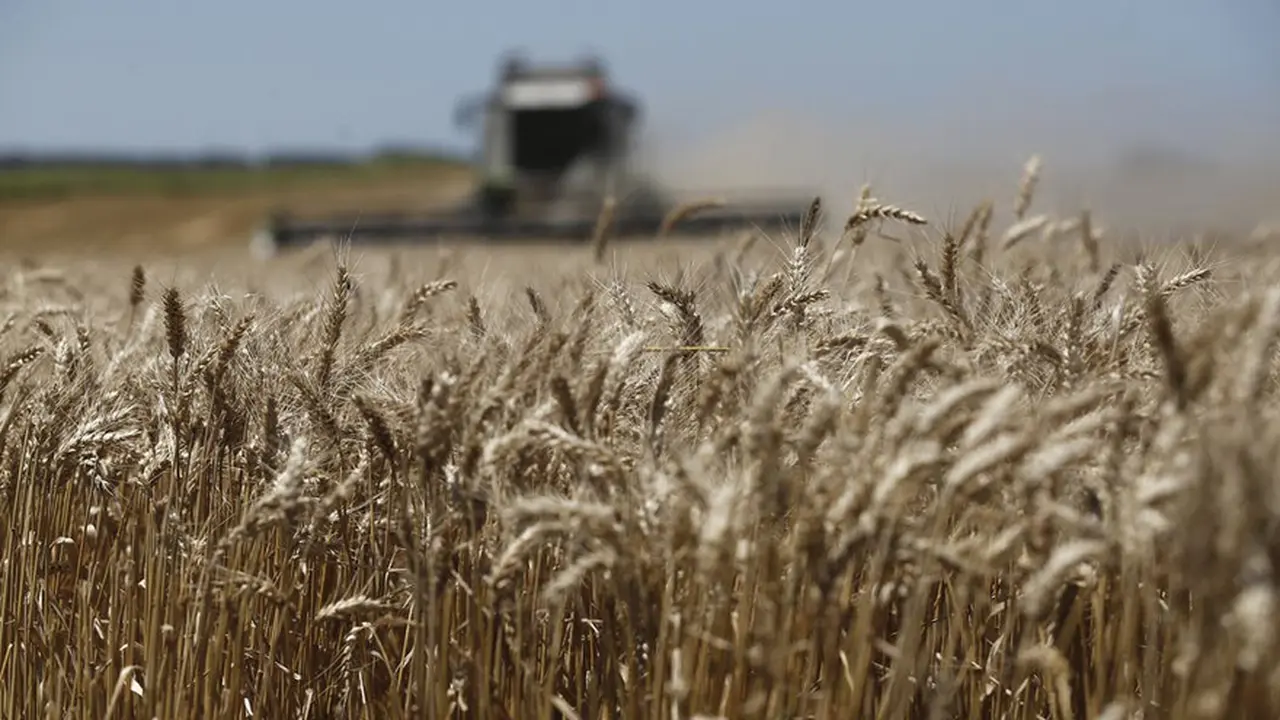 Universidad Austral: crece la desconfianza de los productores rurales