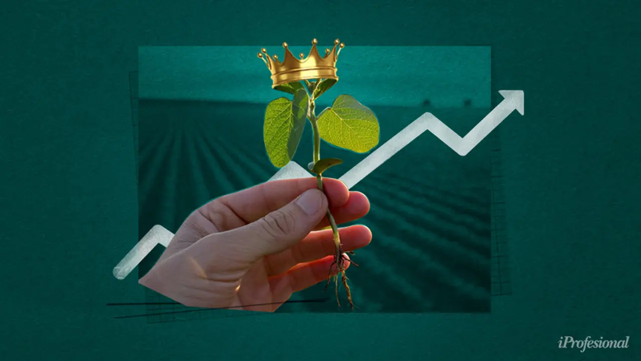 La excelente campaña agrícola de 2021 ayudó a que el año terminara sin déficit de la cuenta corriente