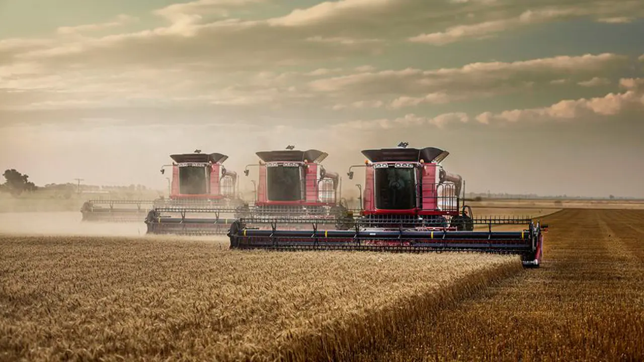 Los campos para producción agrícola concentran el interés 