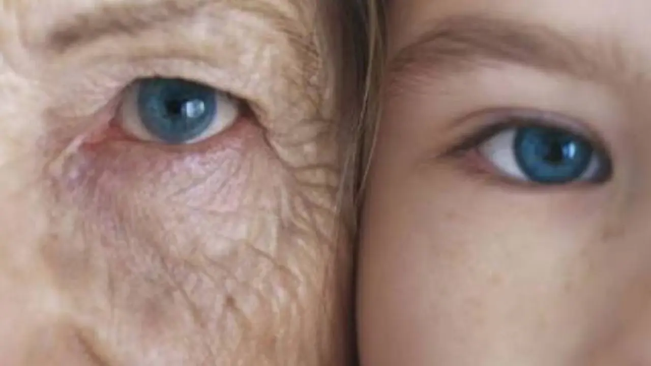 10 alimentos que tienen la capacidad de prolongar la juventud