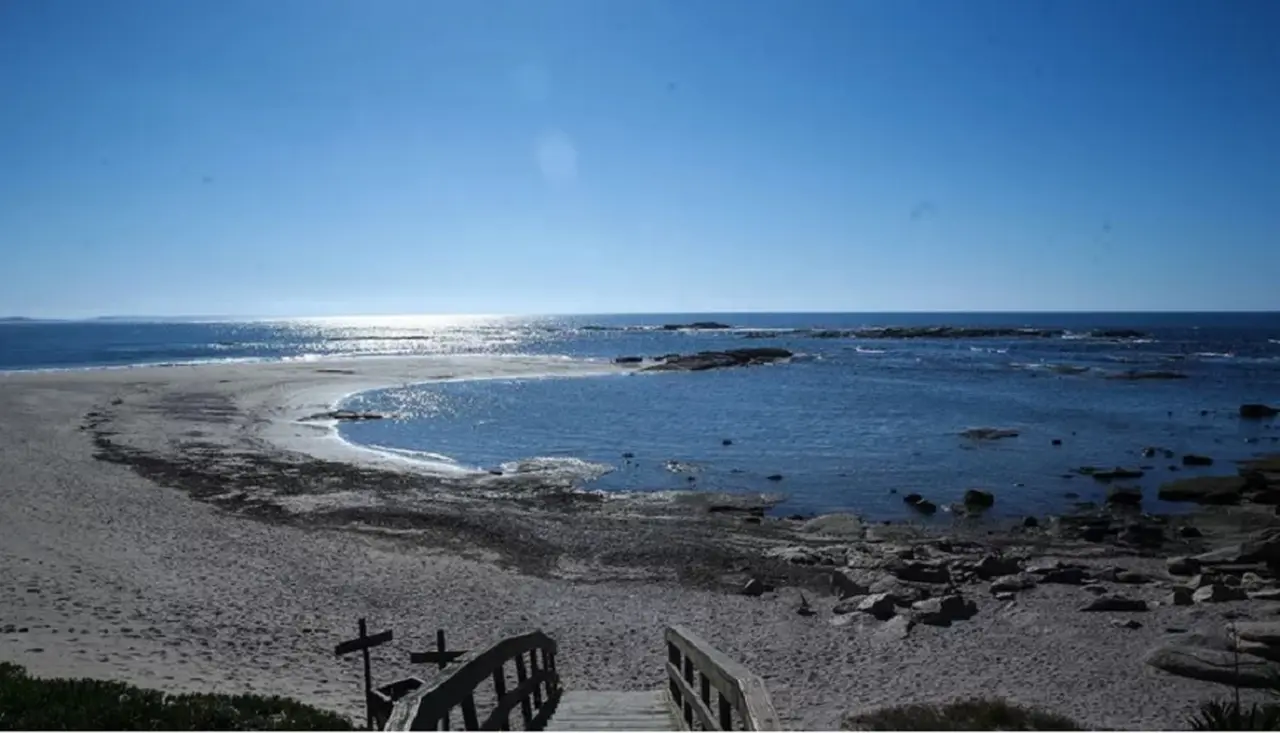 Argentinos en José Ignacio: este es el fenómeno que alienta expectativas de negocio en Uruguay