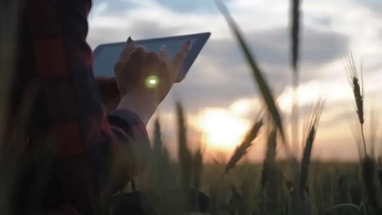 Qué perfiles digitales demanda el agro argentiino