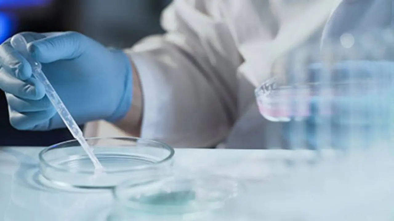 La Justicia ordena brindar una pareja de hombres la cobertura integral de reproducción asistida