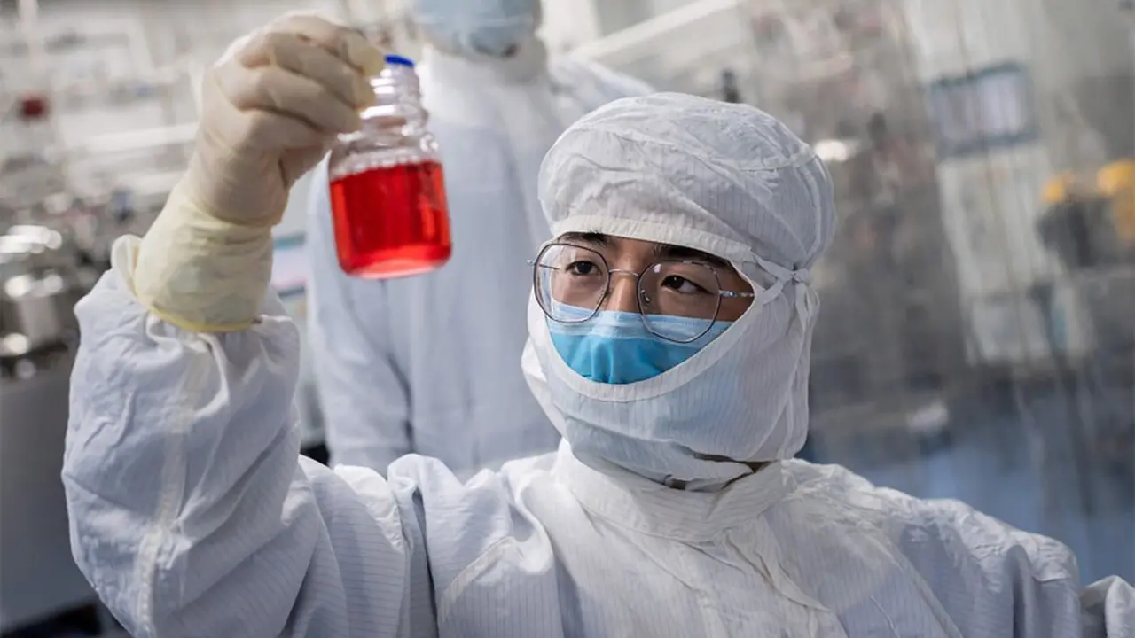 Virus del mono B: qué se sabe de la peligrosa enfermedad que ya provocó una muerte en China