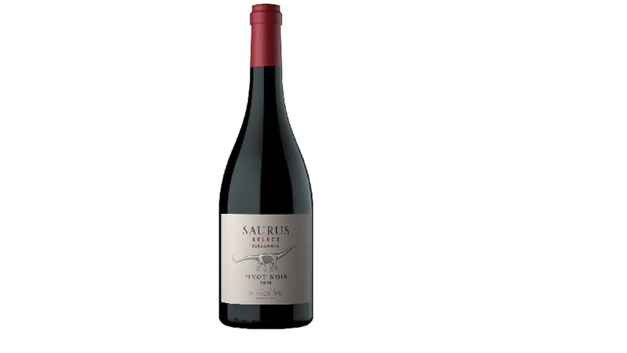 Vinos: Bodega Familia Schroeder celebra al Pinot Noir con novedades, descuentos y un menú especial en su restaurante