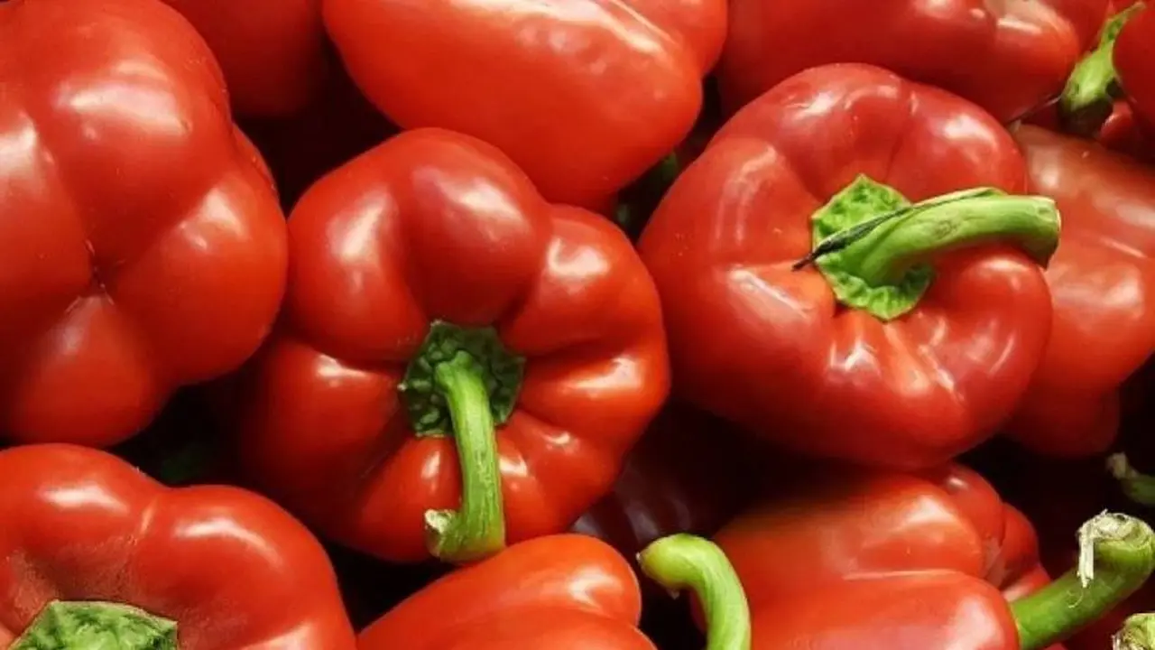 Precios insólitos: por qué un kilo de morrón cuesta tanto como uno de carne