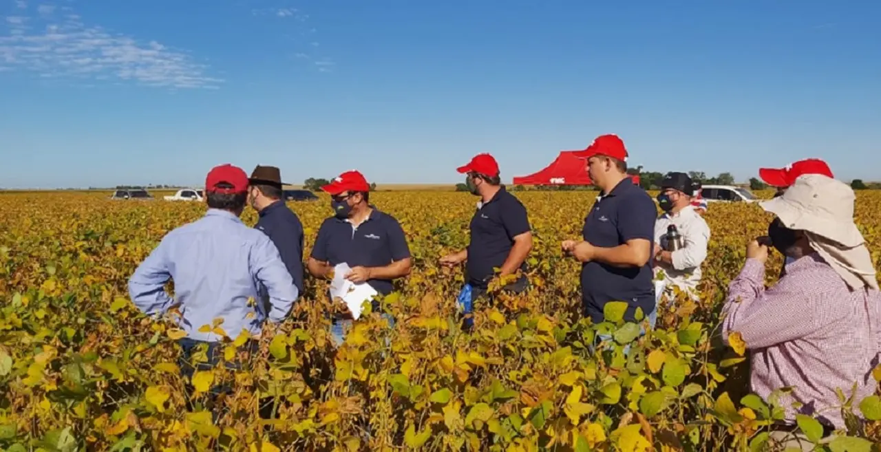 Los productores no quieren deshacerse de la soja.