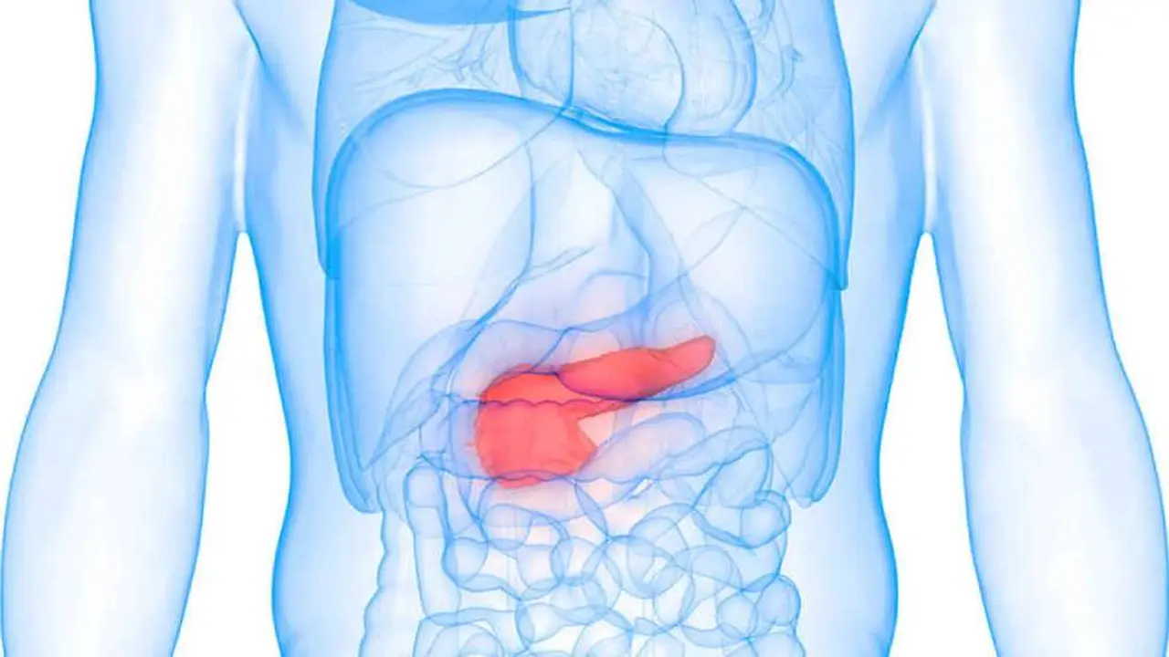 En Argentina se detectan alrededor de 5.000 casos de cáncer de páncreas por año