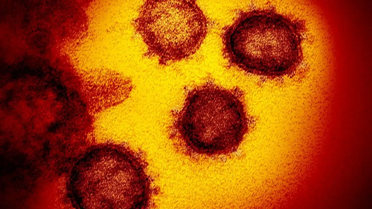 La variante Ómicron, para JP Morgan, podría ser el fin de la pandemia