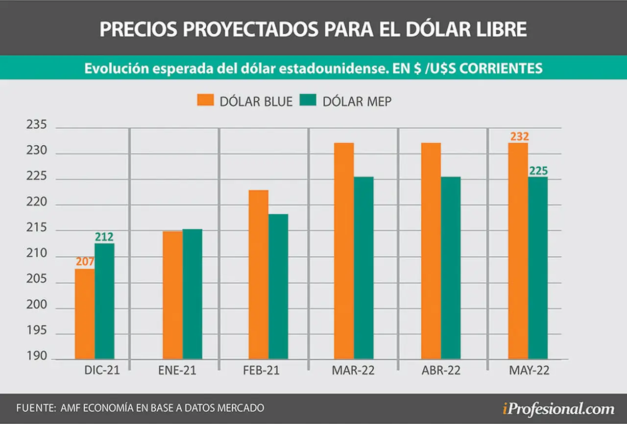 Para mayo del 2022, por la liquidación de divisas del agro, se espera que el precio del dólar libre se ubique en torno a los $230.