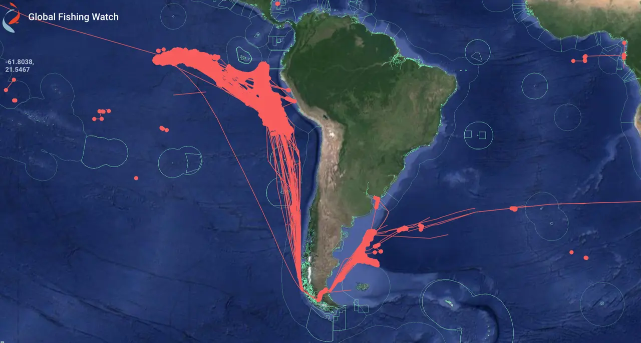 Detalle del movimiento de la flota ilegal en esta parte del mundo. Imagen gentileza Milko Schvartzman.