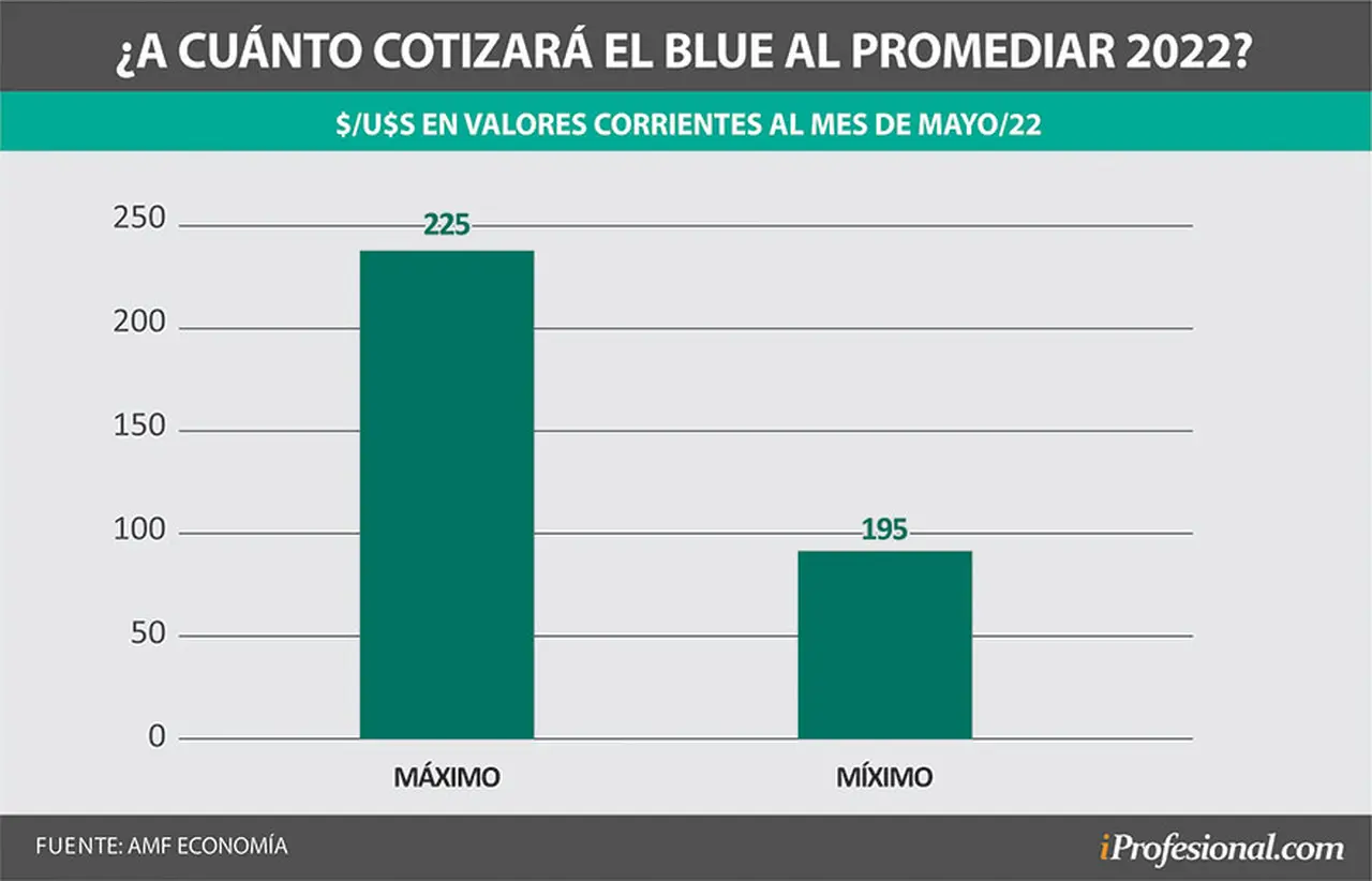 El dólar blue, para el próximo semestre, tendría un valor mínimo de $195 y un máximo de $225, según analistas de AMF Economía.
