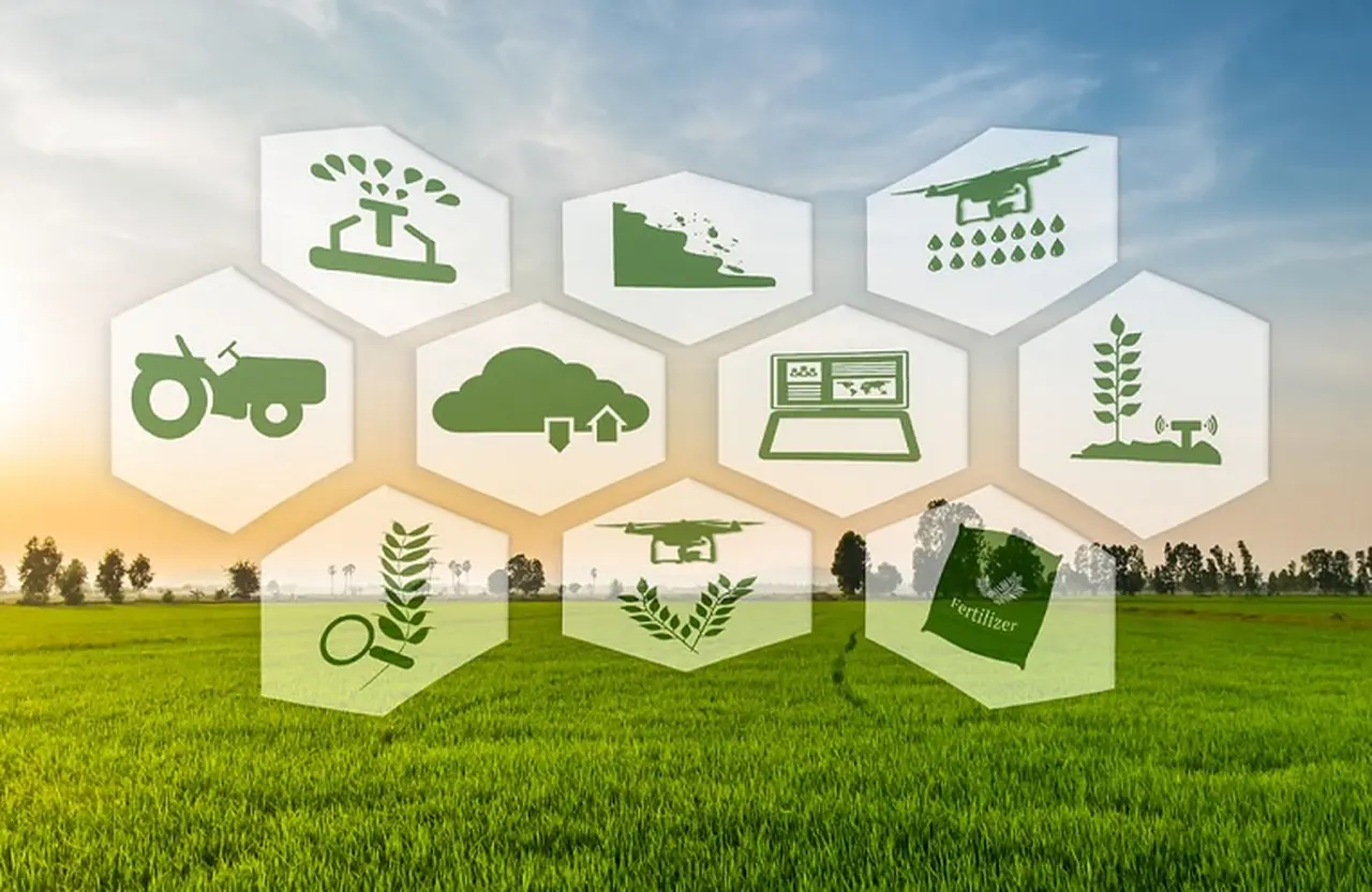 Agrology ofrece información diaria sobre venta y comercialización de granos.