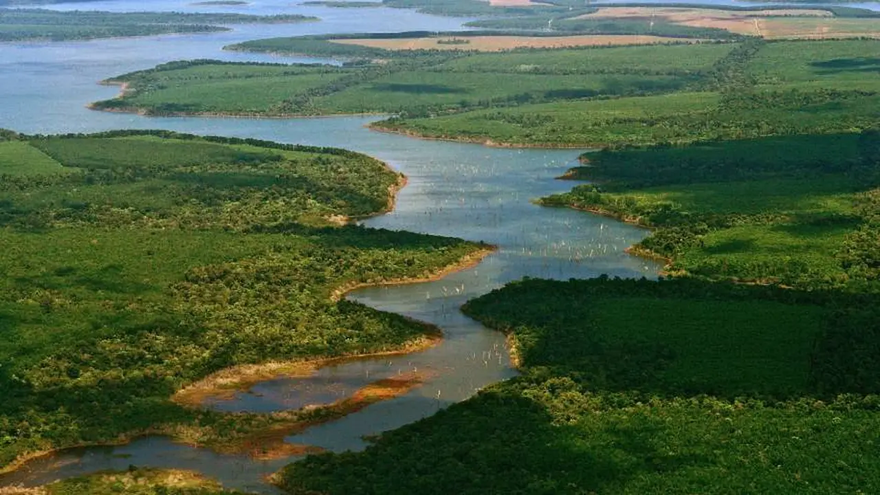 El New York Times puso a los Esteros del Iberá a