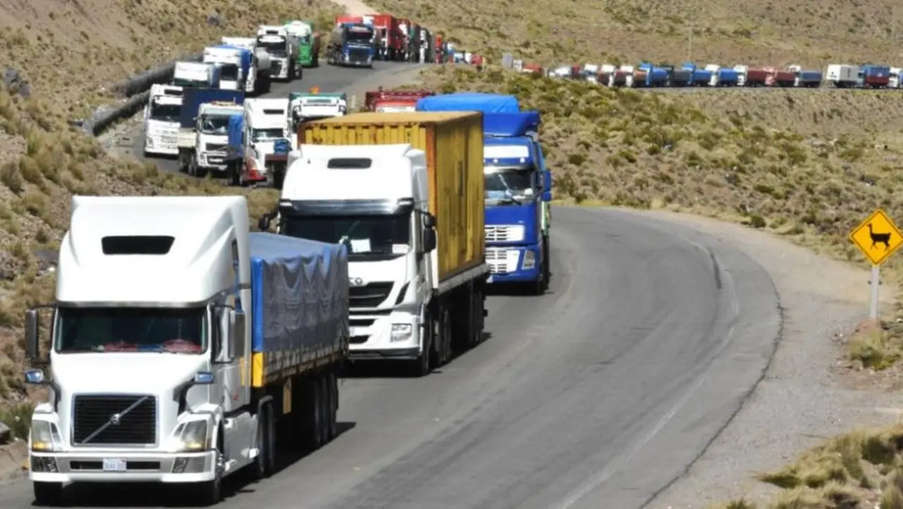 el 2022 se consolidó como el año de mayor participación de camiones nacionales en los patentamientos, con casi el 60% del mercado.