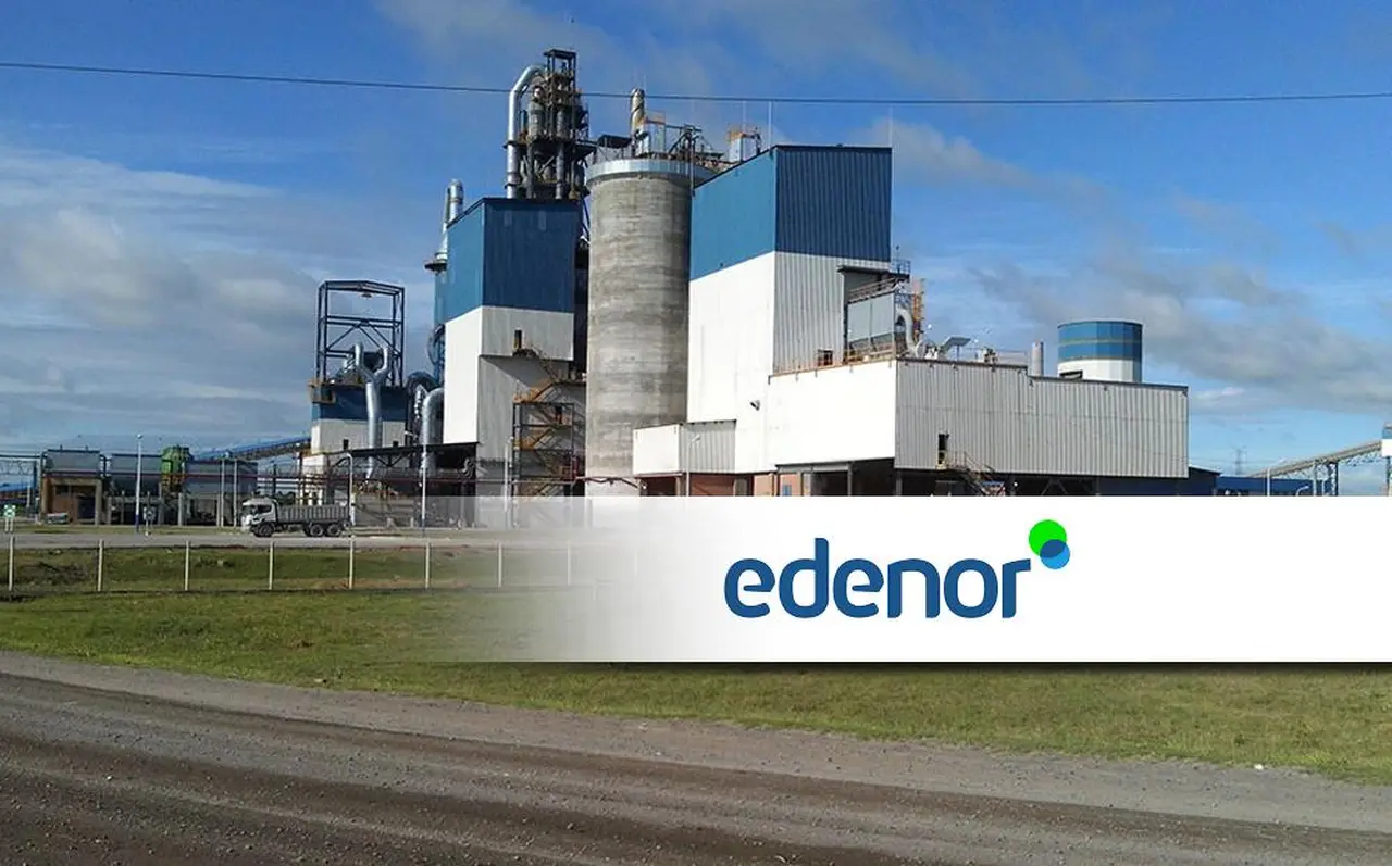 La mayor distribuidora de electricidad del país incrementa sus pérdidas en los primeros meses del año