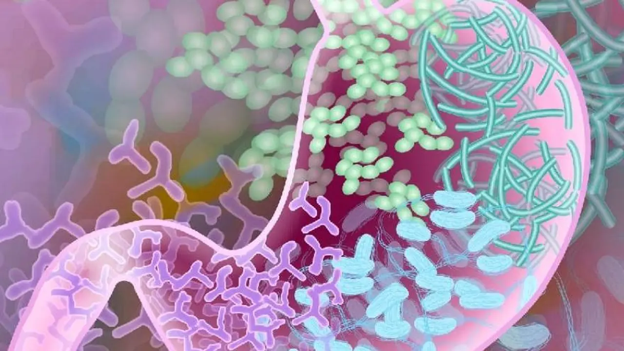 Cómo el microbioma intestinal puede afectar al resto del cuerpo, incluso la salud mental