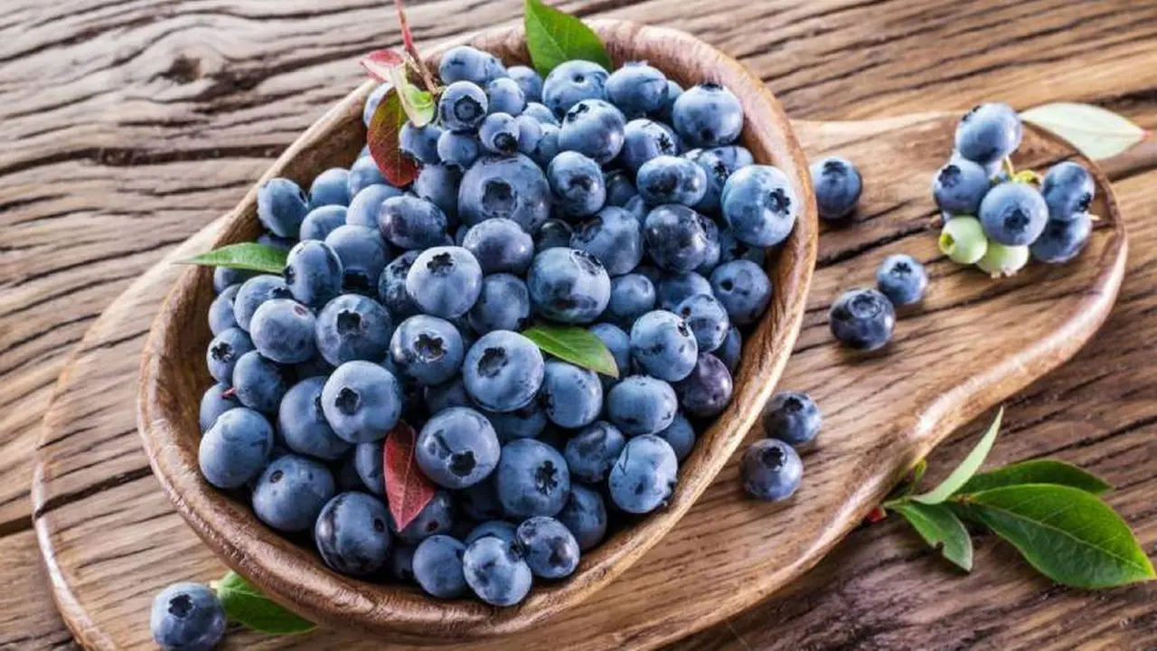 Arándanos: cuánto hay que comer para mejorar la salud cardiovascular