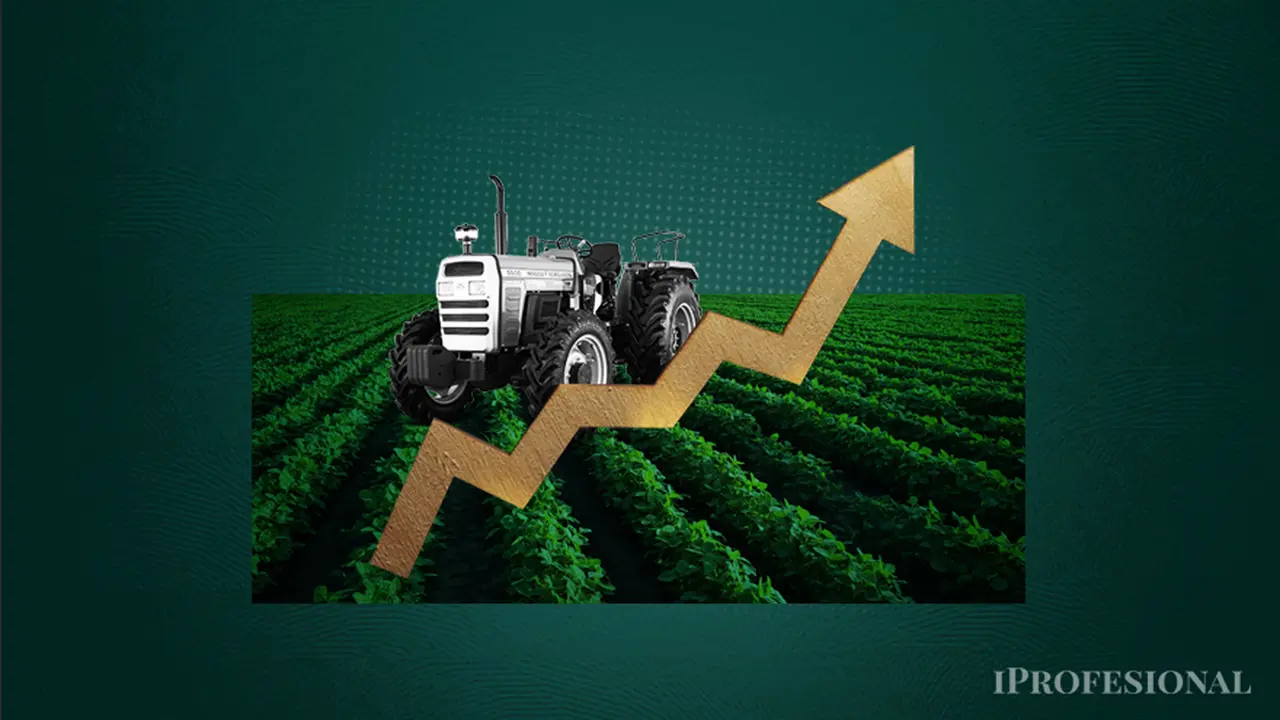 Tras las lluvias registradas en las últimas semanas, se corrigieron al alza las proyecciones de la campaña agrícola