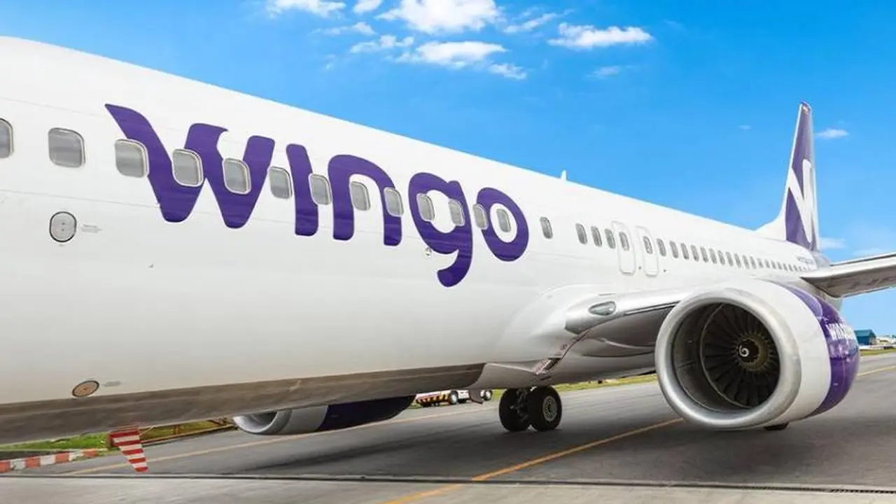 Wingo volará