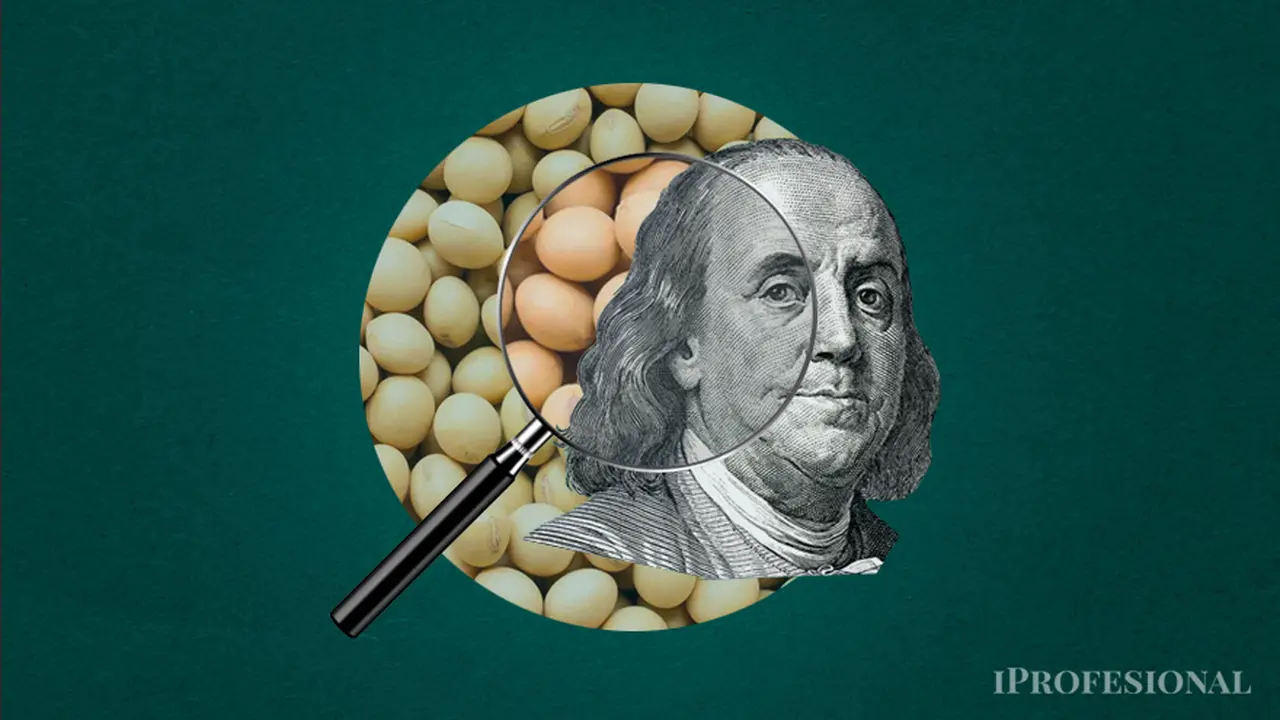 El dólar soja, nueva referencia para el mercado: ¿cuándo puede llegar el tipo de cambio oficial a los $200?