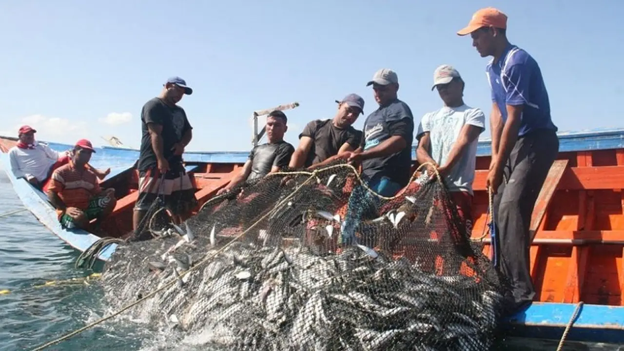 Un eventual bloqueo a la actividad de la pesca generaría pérdidas de hasta 2.000 millones de dólares en exportaciones.