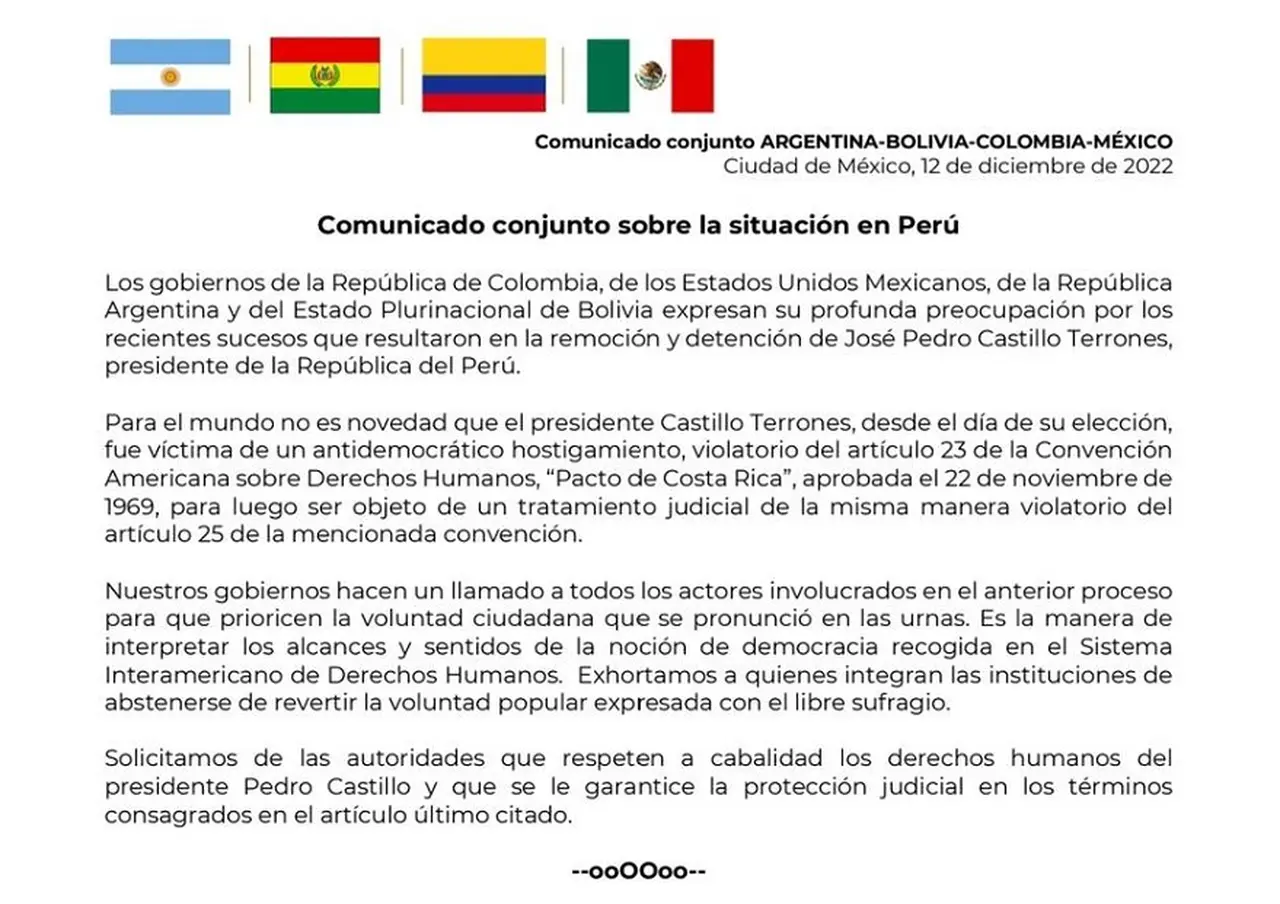 Alberto Fernández firmó un comunicado junto a sus pares de México, Colombia y Bolivia
