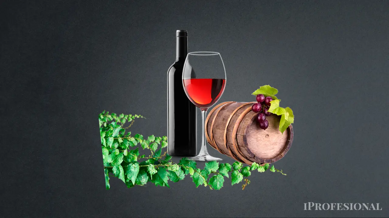 Por qué cayó la producción de vino en casi todo el mundo en 2023