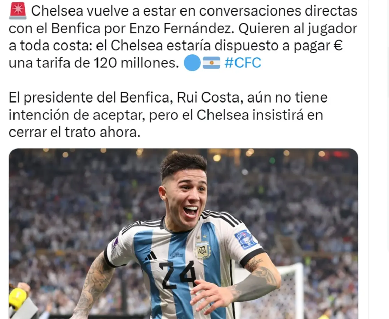 El periodista Fabrizio Romano confirmó la venta de Enzo Fernández por 130 millones de euros