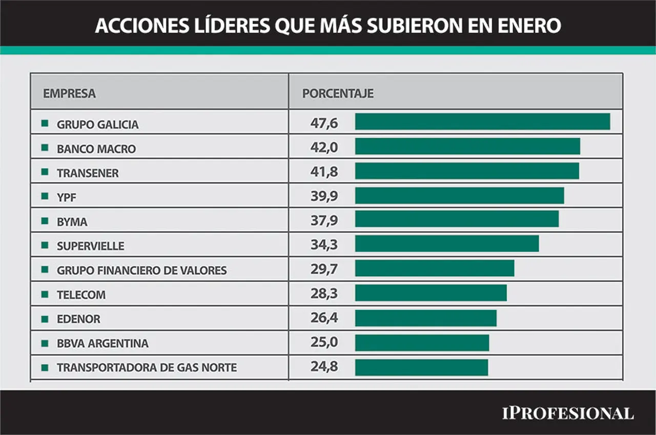 Las acciones argentinas subieron hasta 48% en enero, una cifra que superó por lejos al avance del dólar e inflación nacional.