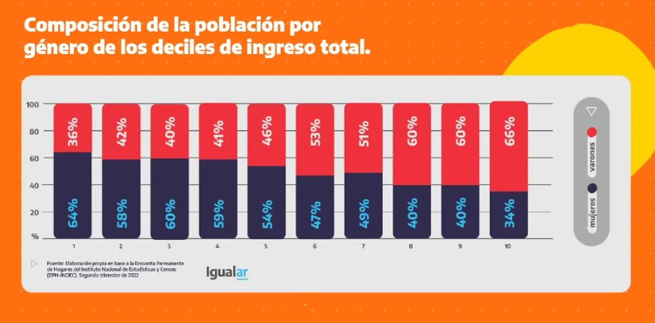 División de la población argentina por género e ingresos (Fuente: MMGyD)