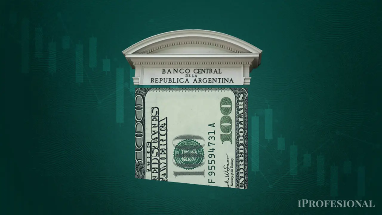 El BCRA registró hoy un saldo neto vendedor de u$S125 millones, y extiende racha vendedora por cinco días seguidos